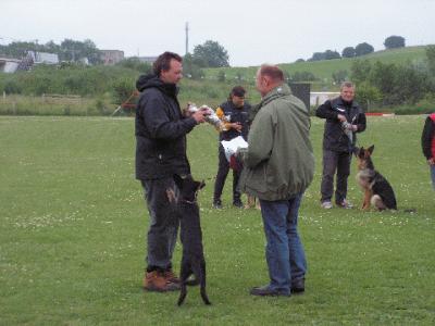 hvalp20077.gif