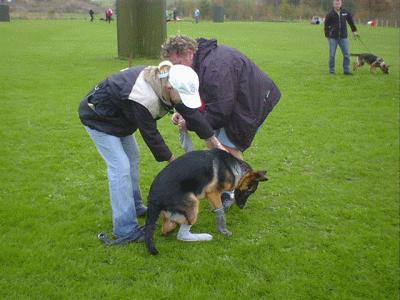 mix20063.gif